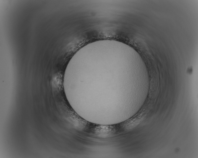 X0000095940672200801181402