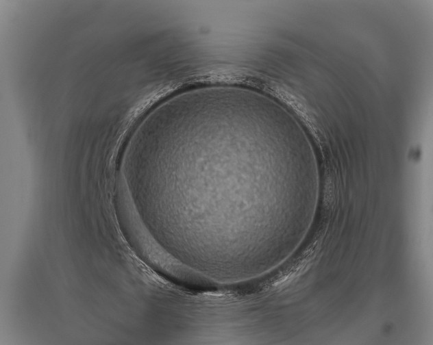 X0000095940673200801181401