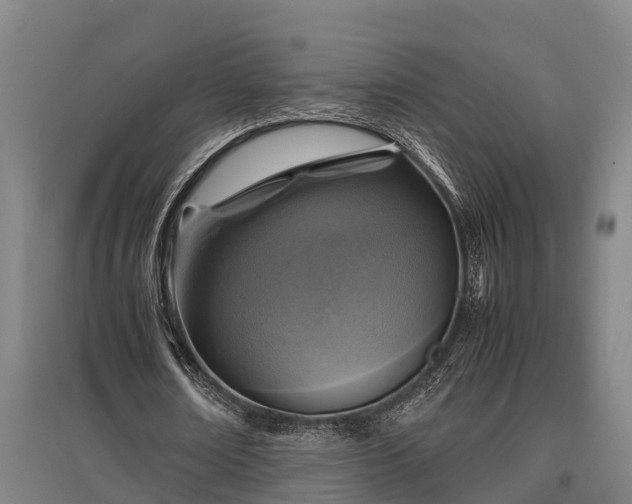 X0000095940674200801181401