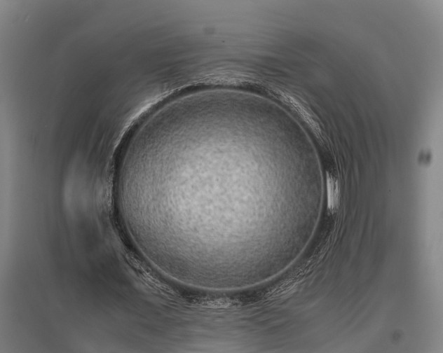 X0000095940675200801181401