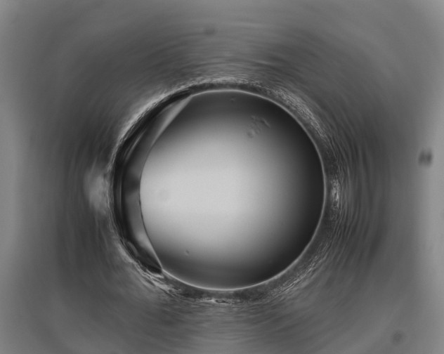 X0000095940676200801181401