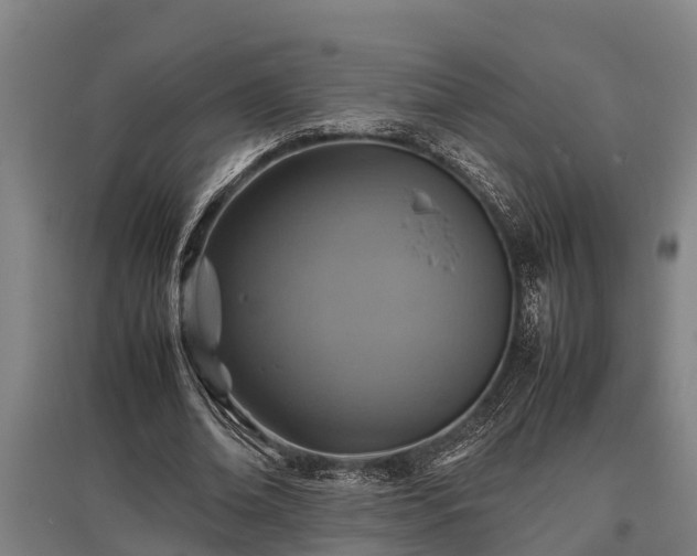 X0000095940678200801181401