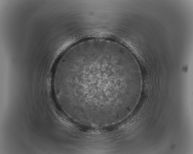 X0000095940679200801181401