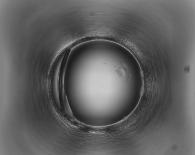 X0000095940680200801181401