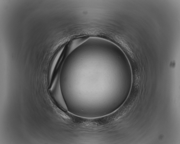 X0000095940681200801181401