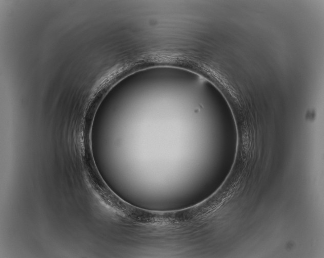 X0000095940682200801181401