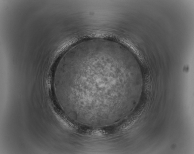 X0000095940683200801181401