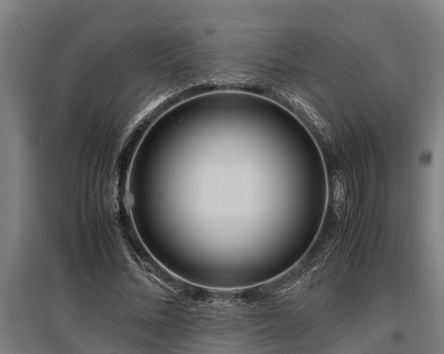 X0000095940684200801181401
