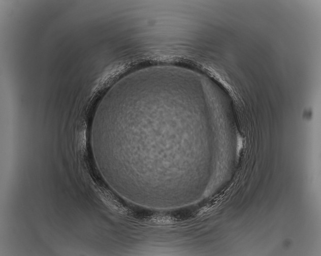 X0000095940685200801181401