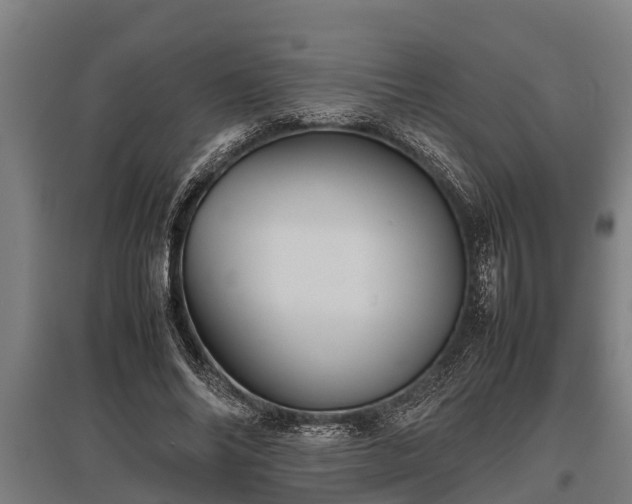 X0000095940686200801181401