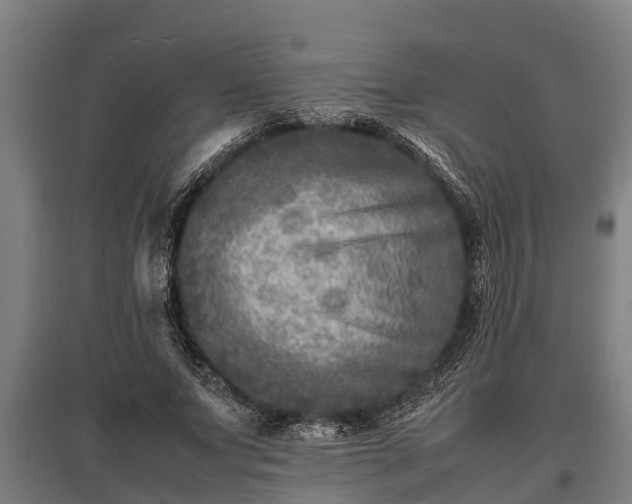 X0000095940687200801181401