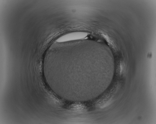 X0000095940689200801181401