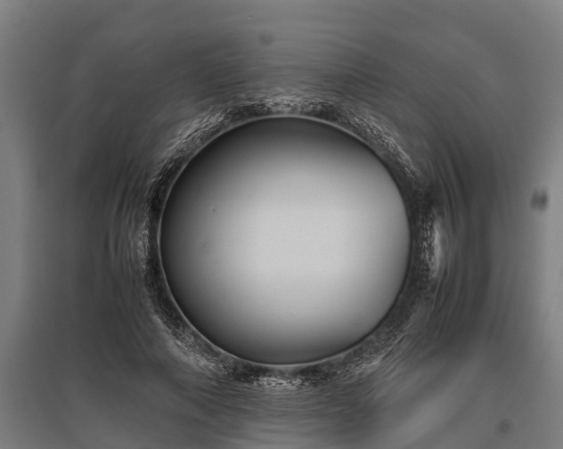 X0000095940690200801181401