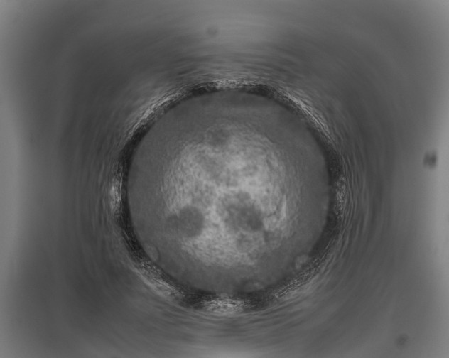 X0000095940691200801181401