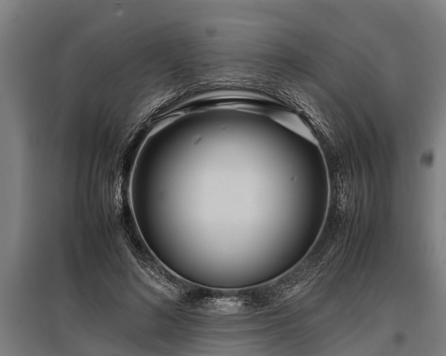 X0000095940692200801181401