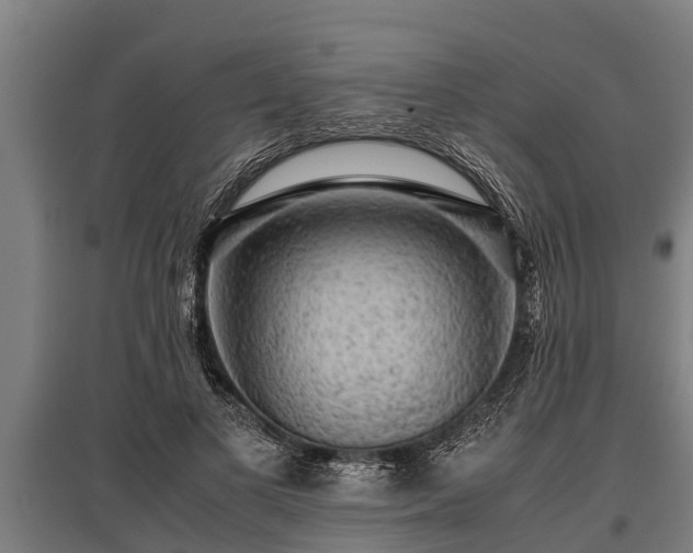 X0000095940693200801181401