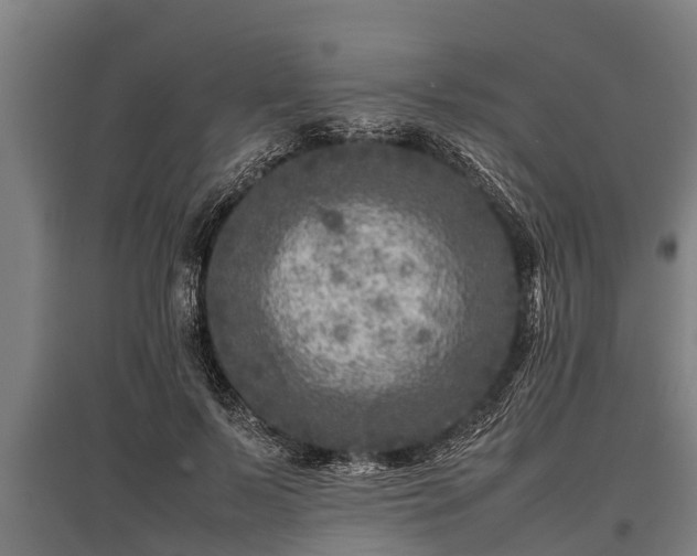 X0000095940695200801181401