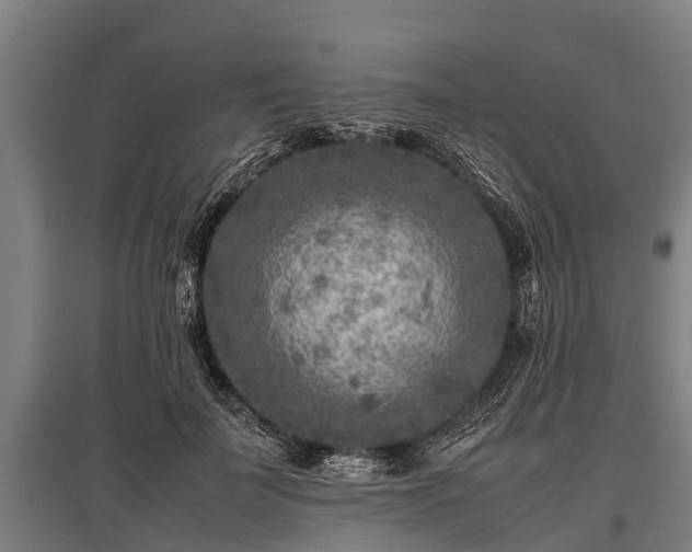 X0000095940699200801181401