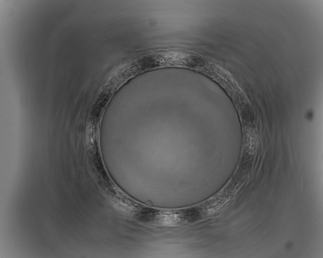 X0000095940701200801181401