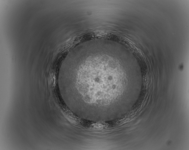X0000095940703200801181401