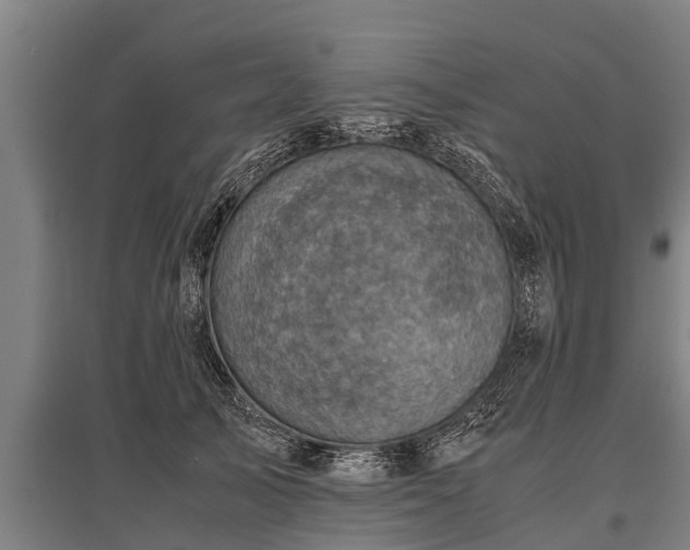 X0000095940705200801181401