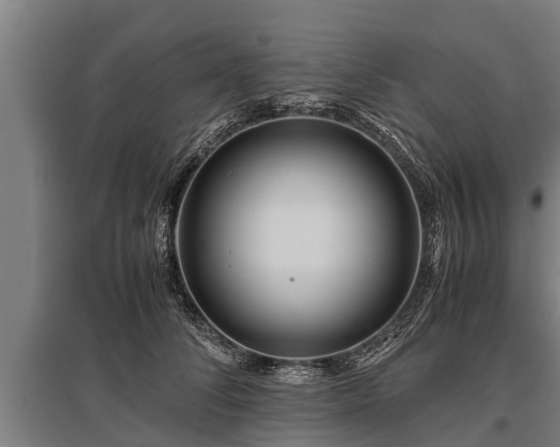 X0000095940708200801181401