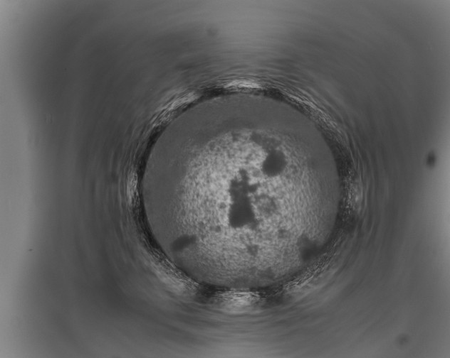 X0000095940711200801181400