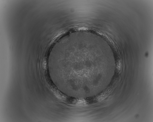 X0000095940715200801181400