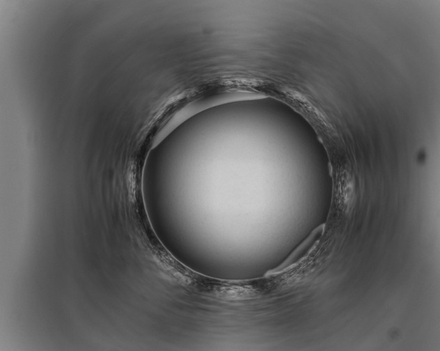 X0000095940716200801181400