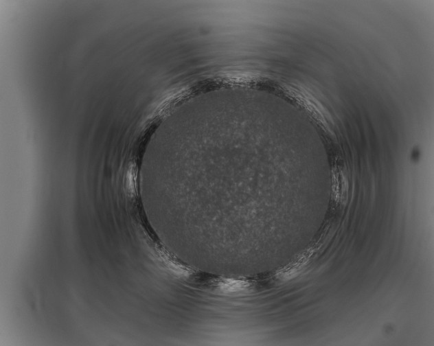 X0000095940718200801181400