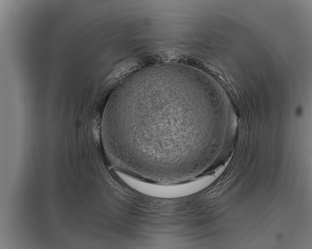 X0000095940719200801181400