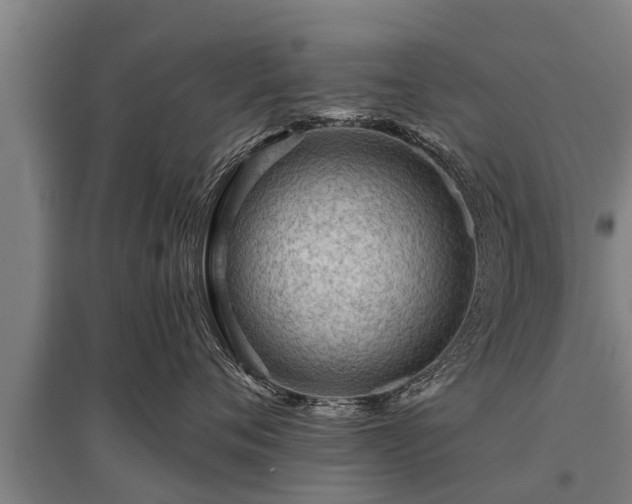 X0000095940720200801181400