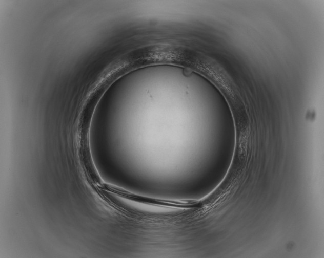 X0000095940722200801181400