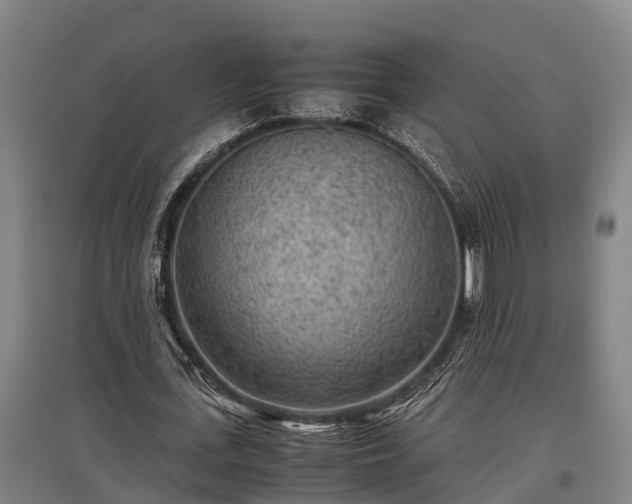 X0000095940723200801181400