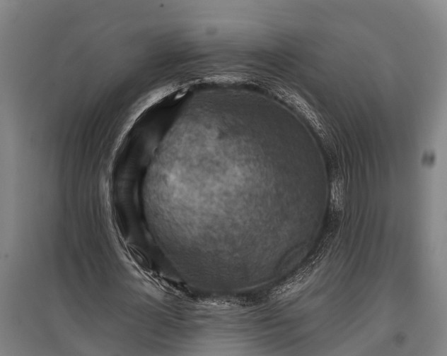 X0000095940724200801181400