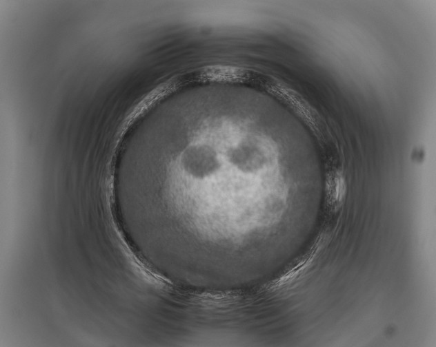 X0000095940725200801181400
