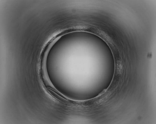 X0000095940726200801181400