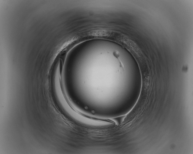 X0000095940727200801181400