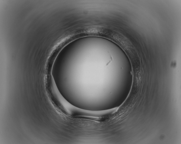 X0000095940728200801181400