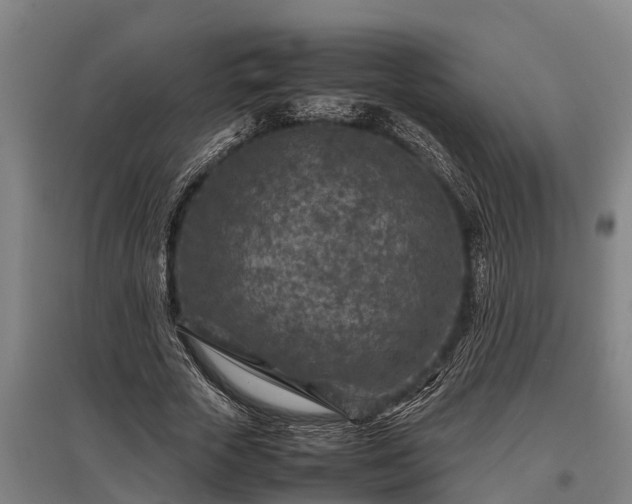 X0000095940729200801181400