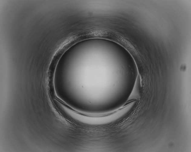 X0000095940730200801181400
