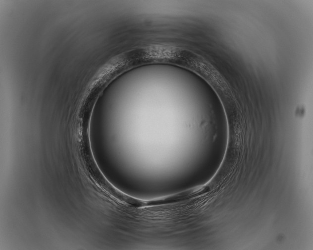 X0000095940731200801181400