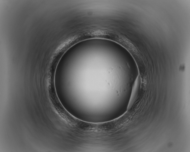 X0000095940732200801181400