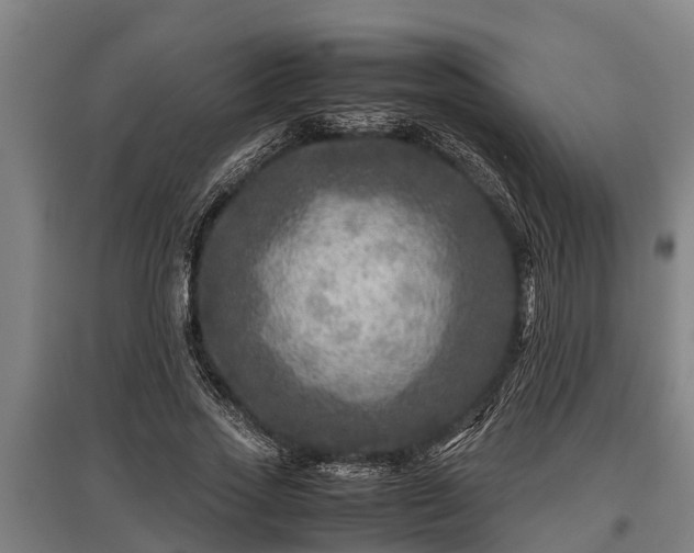 X0000095940733200801181400