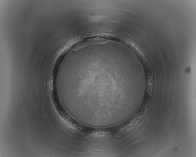 X0000095940734200801181400