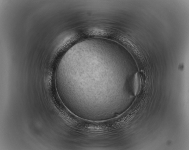 X0000095940735200801181400