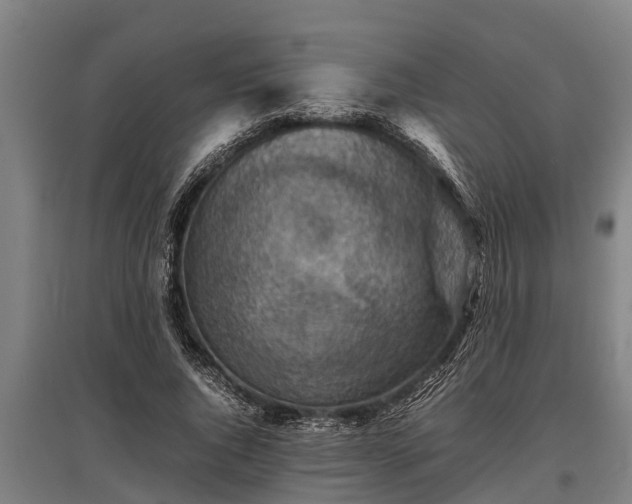 X0000095940736200801181400