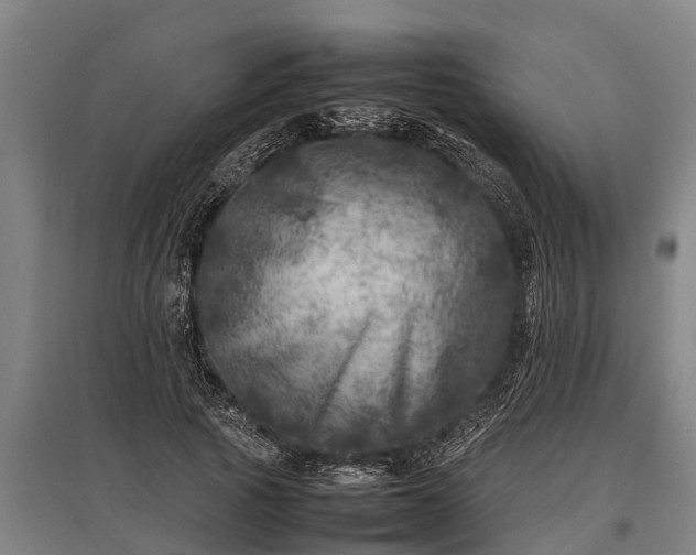 X0000095940737200801181400