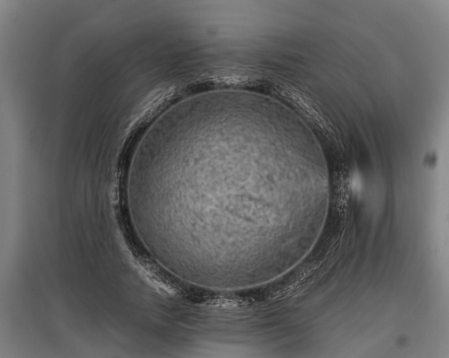 X0000095940738200801181400
