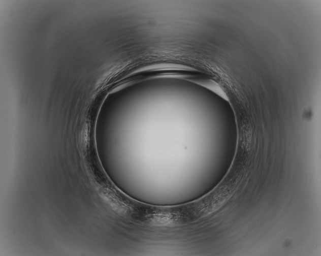 X0000095940740200801181400